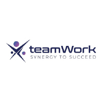 teamWork CSS